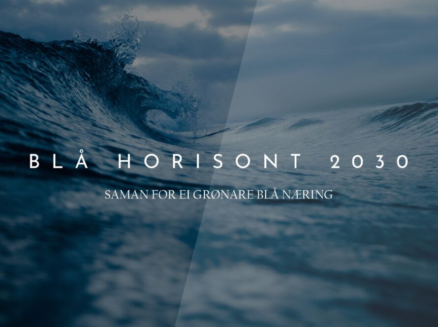Blå Horisont 2019