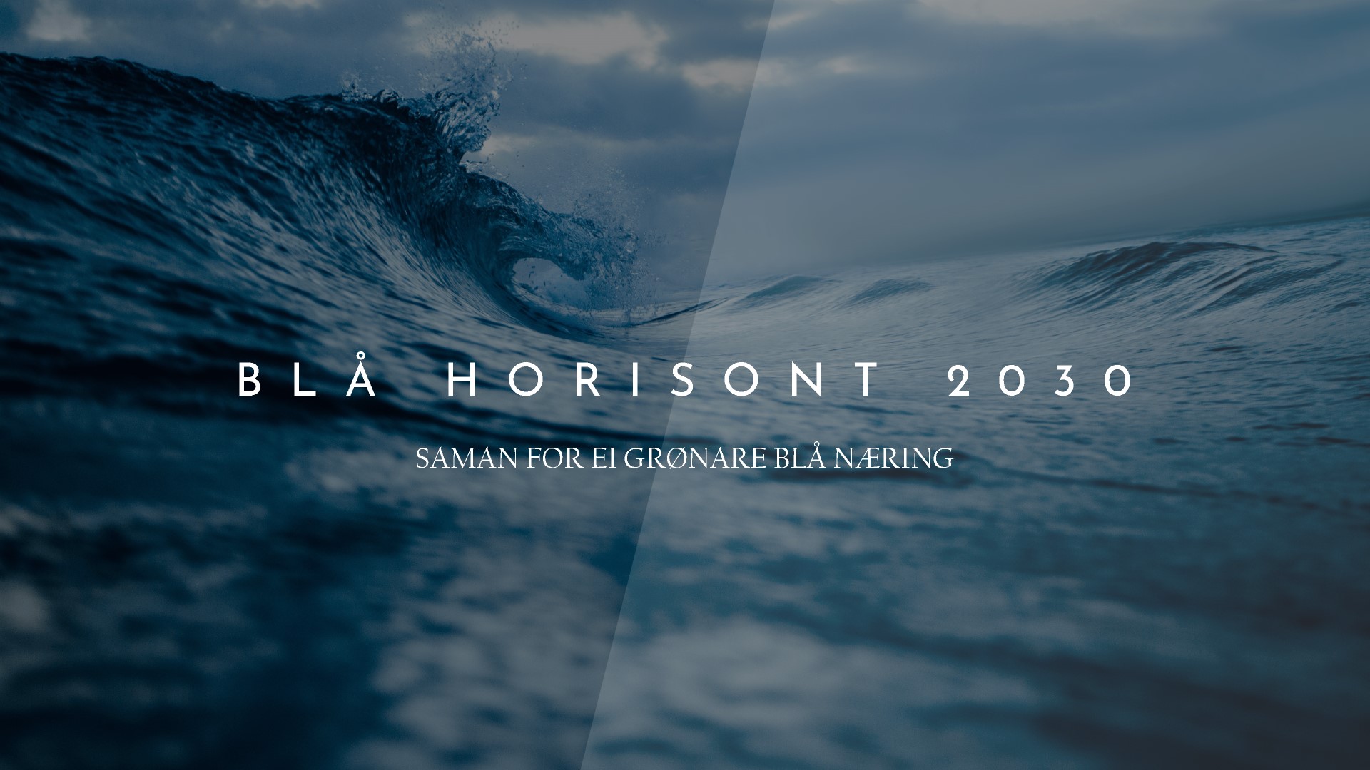 Blå Horisont 2019