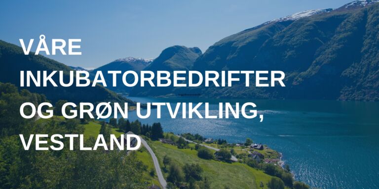 GRØN-REGION-VESTLAND-INKUBATORPROGRAM